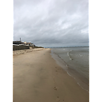 King tide Virginia Beach image